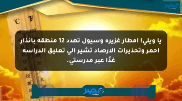 يا ويلي! أمطار غزيرة وسيول تهدد 12 منطقة بإنذار أحمر وتحذيرات الأرصاد تشير إلى تعليق الدراسة غدًا عبر مدرستي.